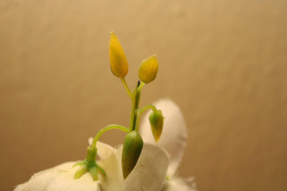 ホテルスタッフがパソコンで施設情報を管理している様子